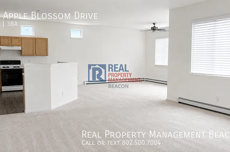 14 Apple Blossom Dr — Photo 7