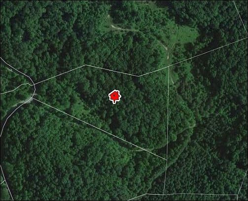 1st image of 135 Phipps Cir