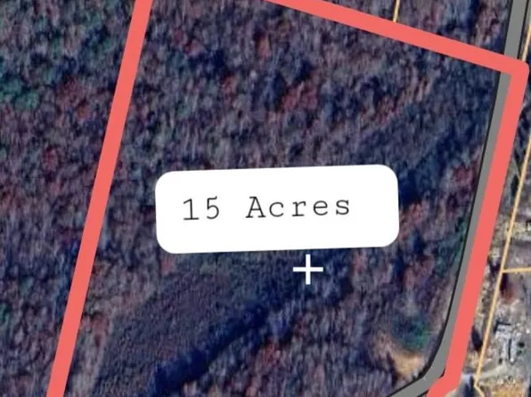 3095 Lofton Rd, Enville, TN 38332