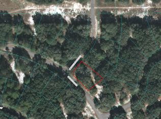 0 Magnolia Pass Trce LOT 11, Ocklawaha, FL 32179