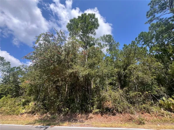 182 Millican Rd Lot 53, Palatka, FL 32177