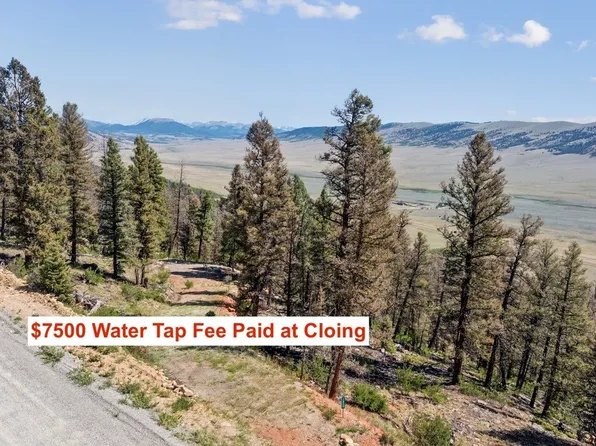 1050 Middle Fork Vis, Fairplay, CO 80440