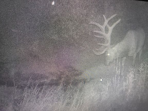 3rd image of 13281 Highway 13