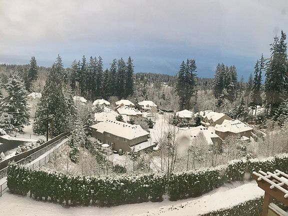 View of the snowy Cascades!