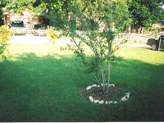 5th image of 6422 Casa Vista Dr
