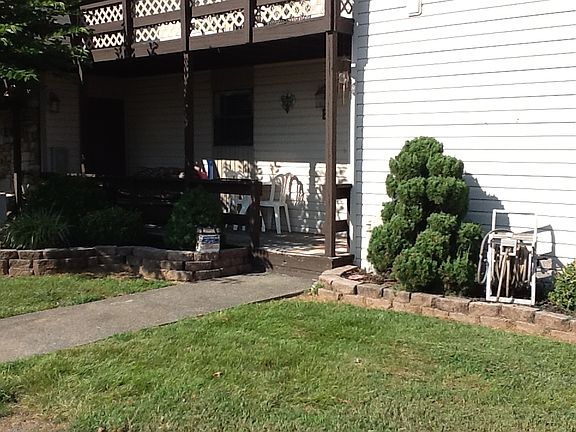Yard view
