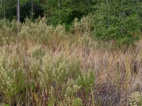 30 SW 26th Ave, Ocala, FL 34475