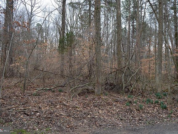 3rd image of Brownsville Rd