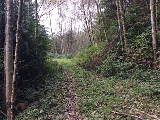 2nd image of 14XX 409th Ave SE