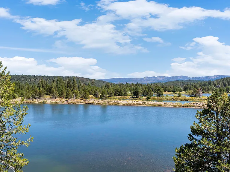 13287 Cold Creek Cir — Photo 19