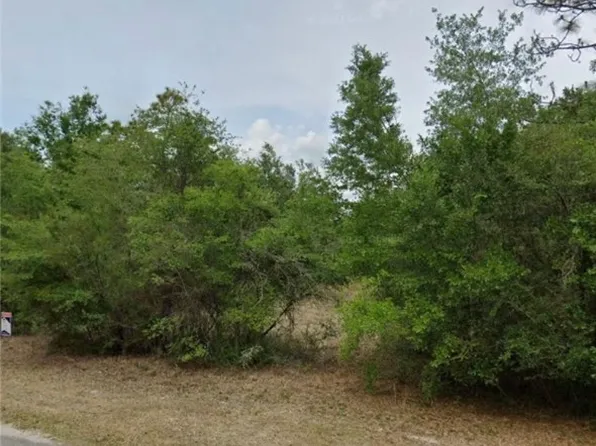 9343 N China Pink Way, Crystal River, FL 34428