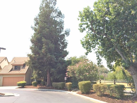 Side view next to Los Gator Creek Trail