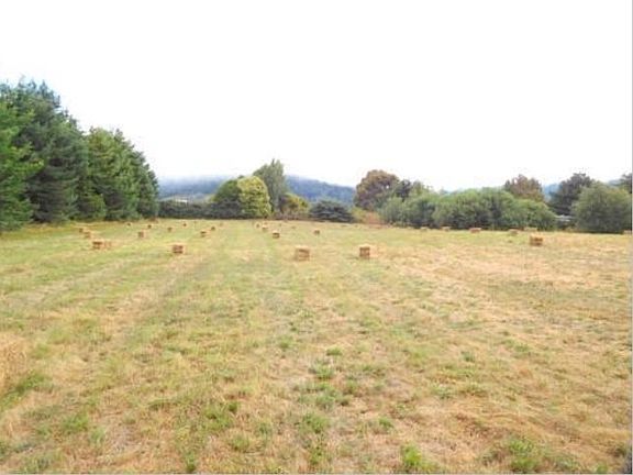 5th image of 4180 Twin Fawn Ln