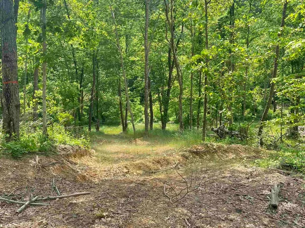 River Run Rd, Grafton, WV 26354