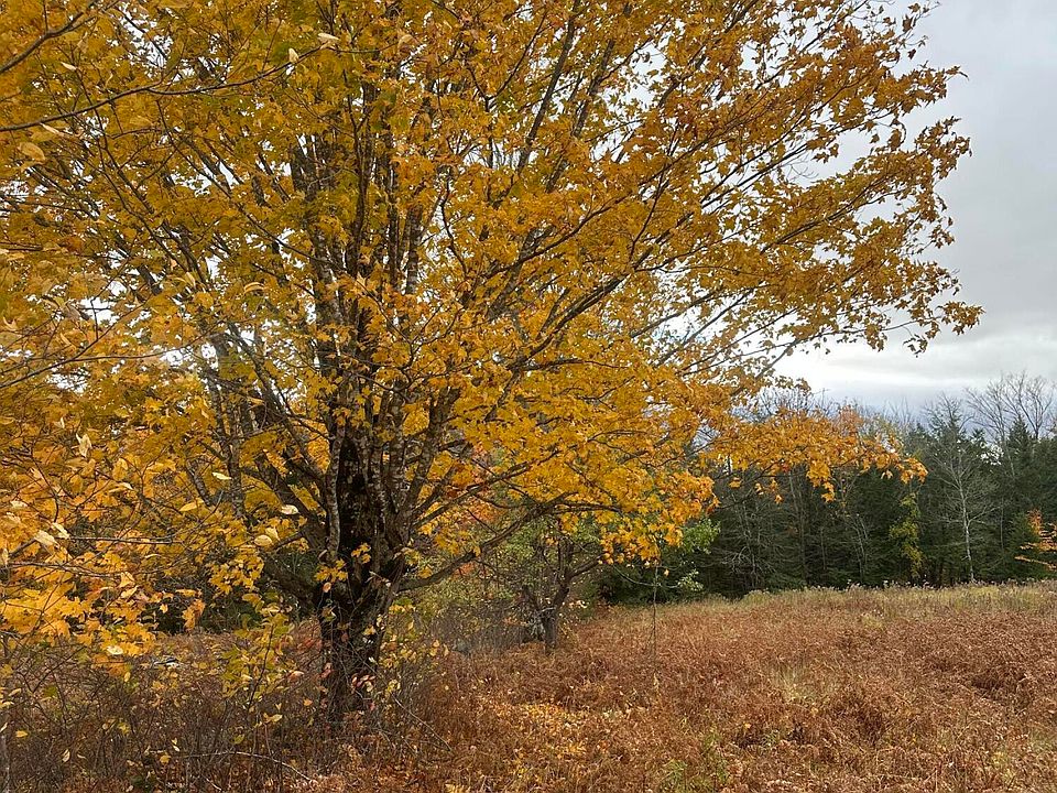 1st image of 72 McQuilkin Road