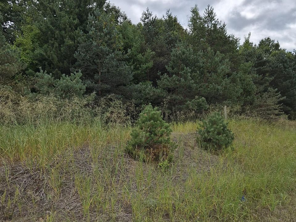 2nd image of Adamson Lake Rd