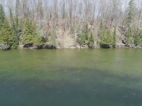 52171 E Eagle Point Rd, Bigfork, MN 56628