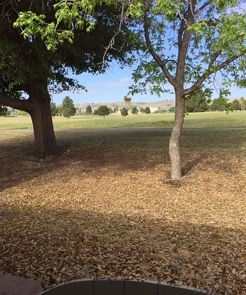 1513 Desert Willow Dr — Photo 16