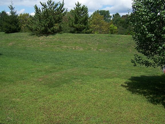 Huge Backyard - Backs to Common Community Area