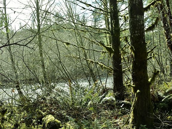 5th image of 45090 Thomas Creek Dr