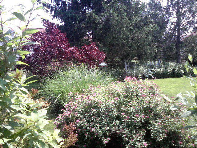 Lovely landscaped backyard