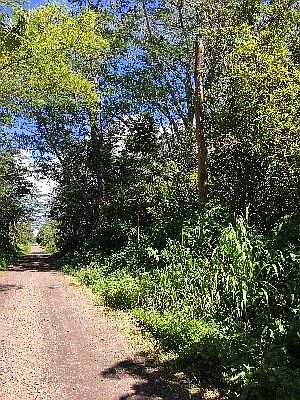 1st image of 21st Ave Lot 385