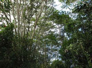 31st Ave LOT 343, Keaau, HI 96749