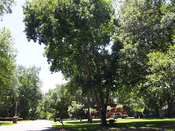 3rd image of 109 Bahia Vista Dr