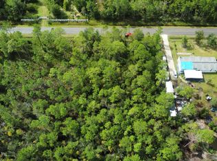 10310 ERICKSON Avenue, Hastings, FL 32145