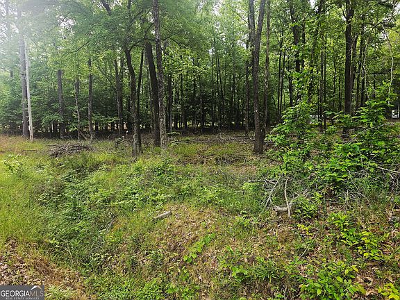 5th image of 0 Island Creek Dr NE
