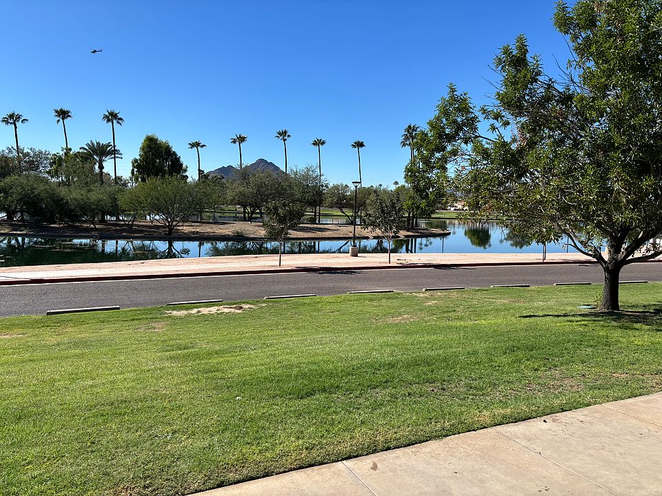Pond view