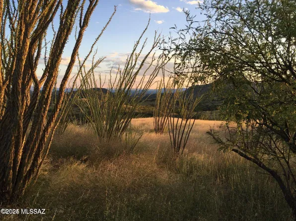 Cougar Pass #113/115, Tubac, AZ 85646