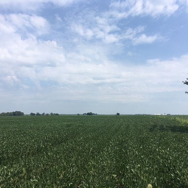1st image of 8121 Us Highway 150