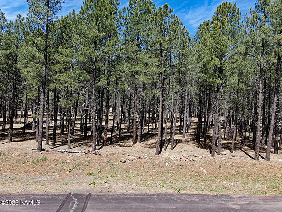 5th image of 8252 Vista Peak Way