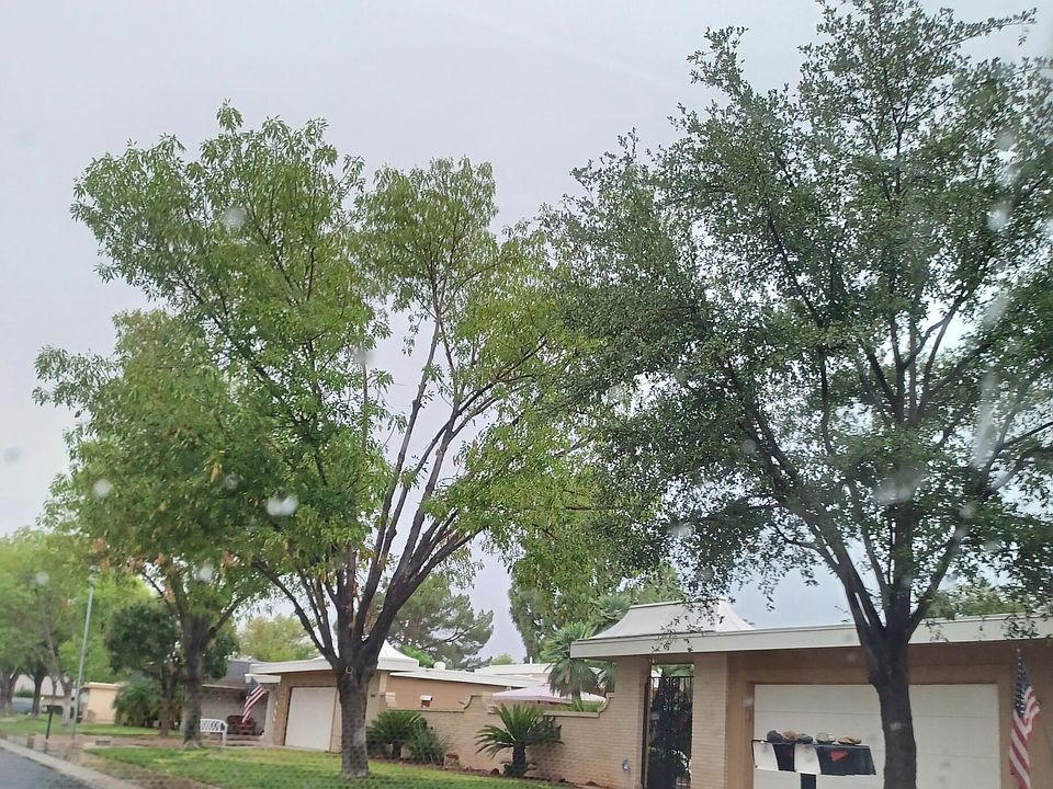 1st image of 10310 W Spanish Moss Ln