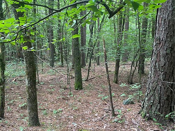 5th image of County Road 5211
