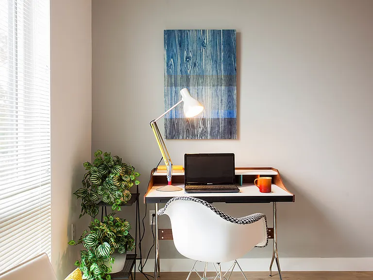 Dining/Living room
