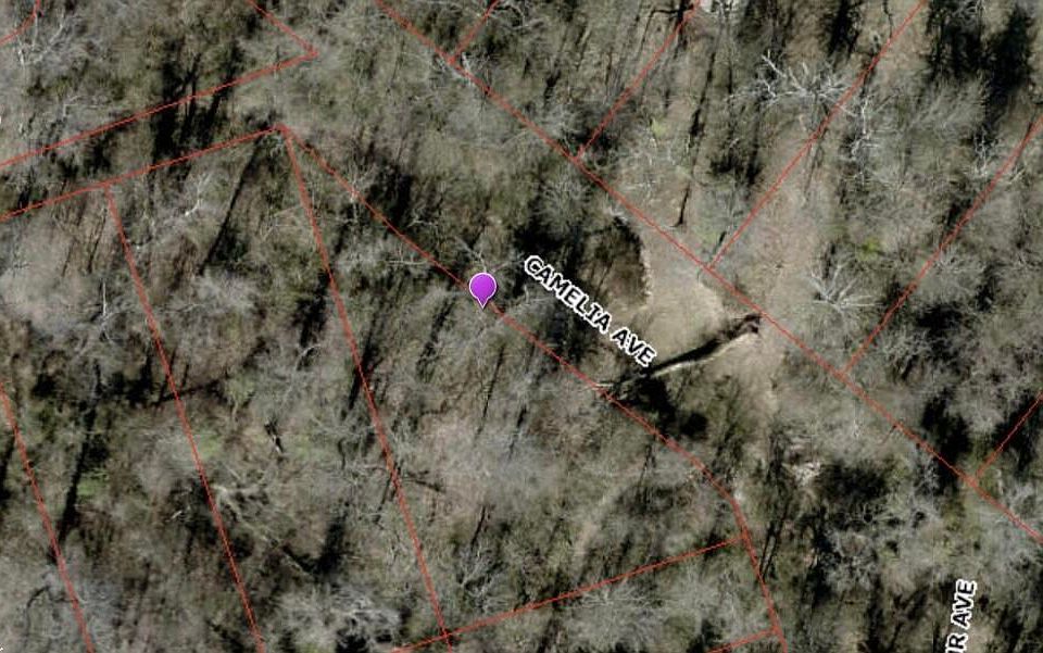 1st image of 330 Camelia Ave
