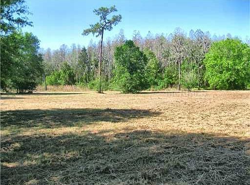 3rd image of 7916 Lady Lake Ln
