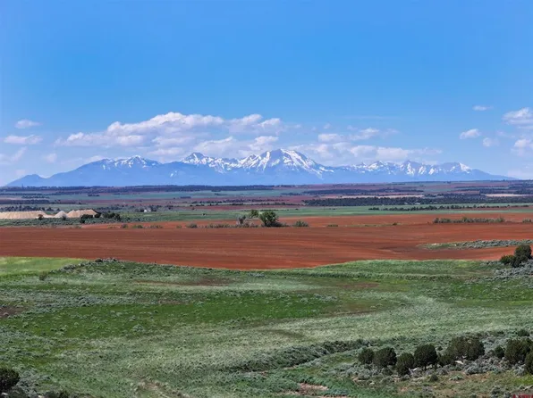 64362 Highway 491 #64682, Dove Creek, CO 81324