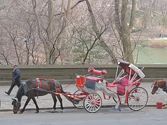 Rented by essential NEW YORK Real Estate