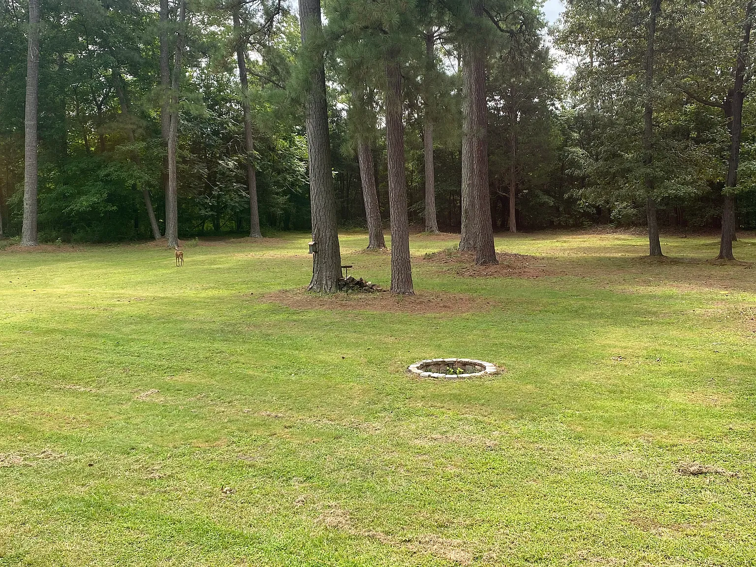3 bed, 2298 sqft, $2,550 — Photo 3