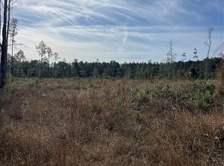 NE 137th Pl Lot 12, Citra, FL 32113