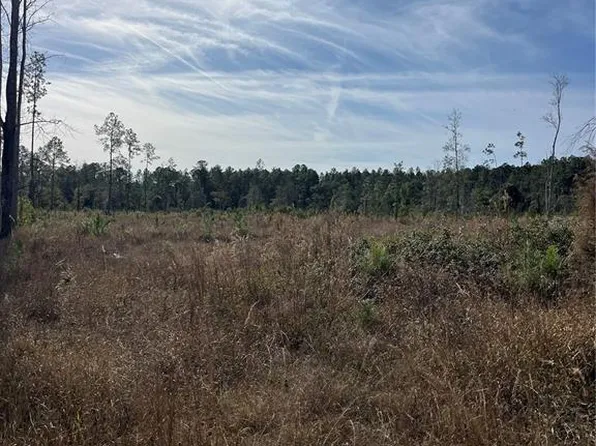 NE 137th Pl Lot 12, Citra, FL 32113