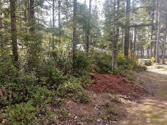 3rd image of 121 E Blackberry Ln