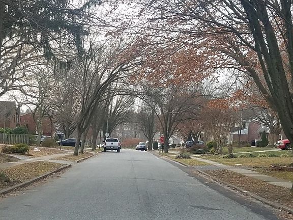 4th image of 317 Walnut Hill Ln