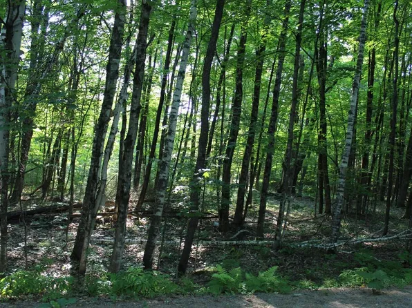 1414 N Gore Rd, Chestertown, NY 12817