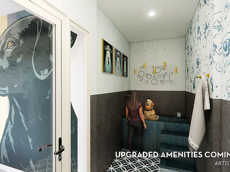 Brand New Dog Spa - Coming Soon!