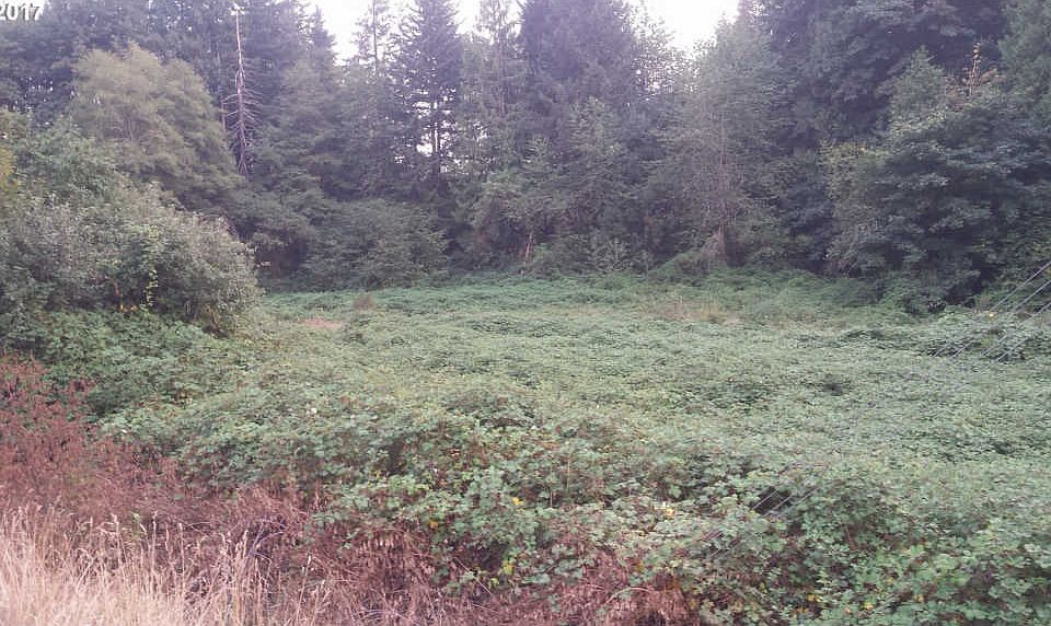 2nd image of 40808 Highway 26