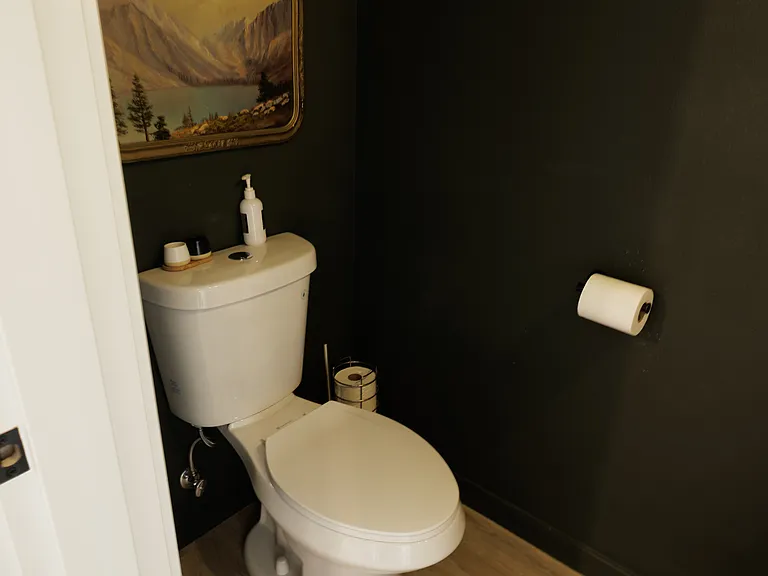 Downstairs half bath